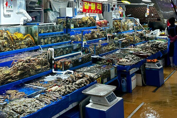 Korean Market Adventure with Chef Yie - Noryangjin Fish market - The Practical Side: Timing, Cost, and Group Size