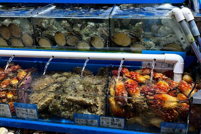 Korean Market Adventure with Chef Yie - Noryangjin Fish market - Is This Tour Right for You?