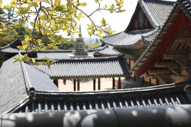 Korean UNESCO World Heritage Tour including Gyeongju, Andong and Daegu(2N3D) - Final Day: Spiritual and Market Adventures in Daegu