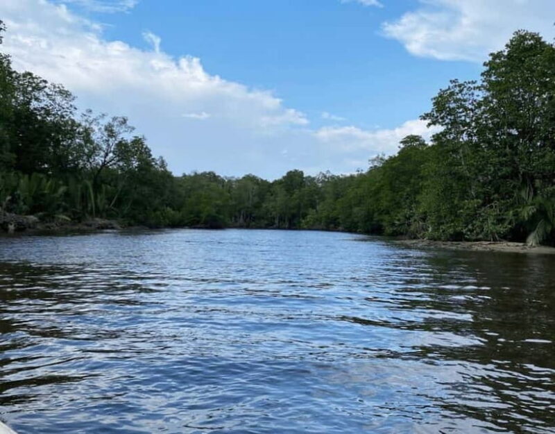 Kota Kinabalu City & Bongawan River Cruise Day Tour Package - An Insightful Day in Kota Kinabalu