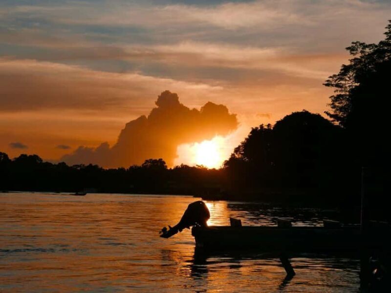 Kota Kinabalu: Klias River Cruise with Dinner and Fireflies - Who Should Consider This Tour?