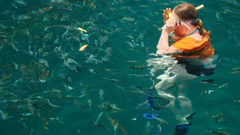 Kota Kinabalu: Snorkeling & Island Hopping Sapi & Manukan - The Sum Up