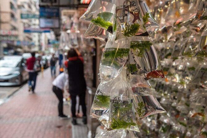 Kowloon Walking Tour on the Dark Side of Hong Kong - Lui Seng Chun: A Cultural Moment and Housing Insights