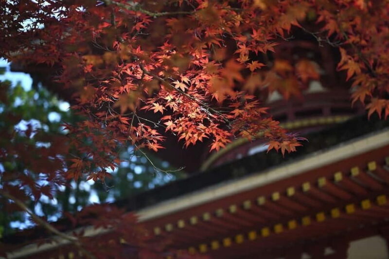 Koyasan: A Mysterious Meditation Journey - Key Points