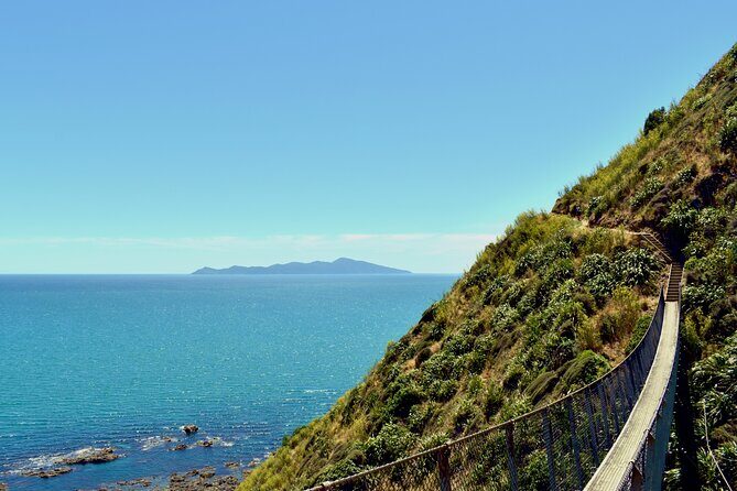 Kpiti Coast: Escarpment Track Guided Hiking Tour, Coffee + Lunch - Key Points