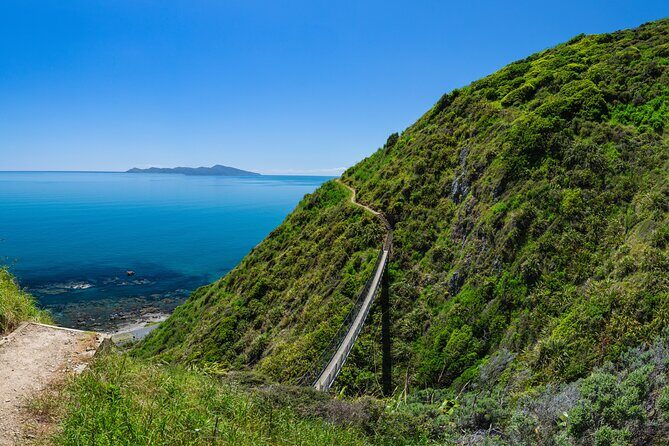 Kpiti Coast: Escarpment Track Guided Hiking Tour, Coffee + Lunch - The Experience’s Highlights and Practical Details