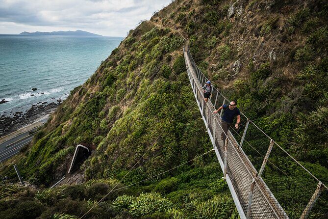Kpiti Coast: Escarpment Track Guided Hiking Tour, Coffee + Lunch - The Sum Up
