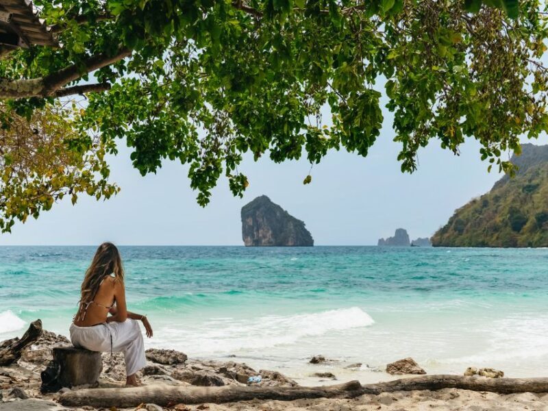 Krabi: 4 Islands Tour by Longtail Boat & Thai Buffet Lunch - Who Will Love This Tour?