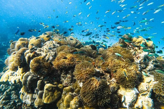 Krabi 7 Islands Sunset & Bioluminescence by Longtail boat - Who This Tour Is Best For