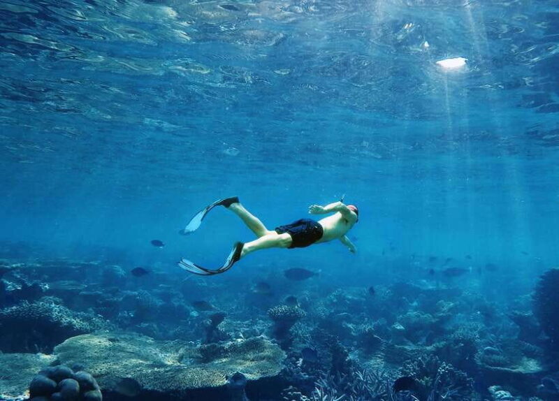 Krabi: 7 Islands Sunset Tour with Plankton Swim and BBQ - The Itinerary: A Close Look at What You’ll Experience