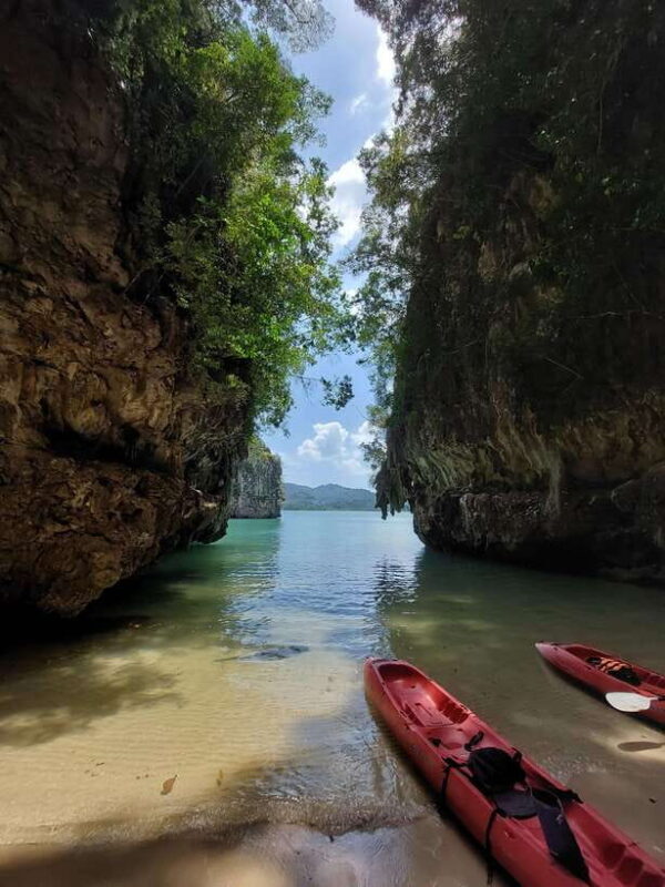 Krabi: A Kayaking Odyssey through Din Daeng Mangrove Maze - Evaluating the Value and Suitability
