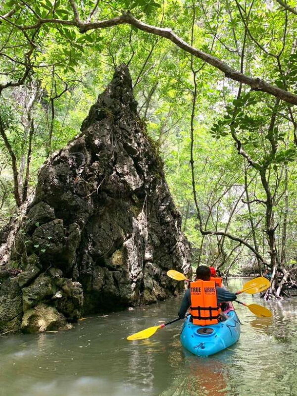 Krabi: A Kayaking Odyssey through Din Daeng Mangrove Maze - Practical Tips for Participants