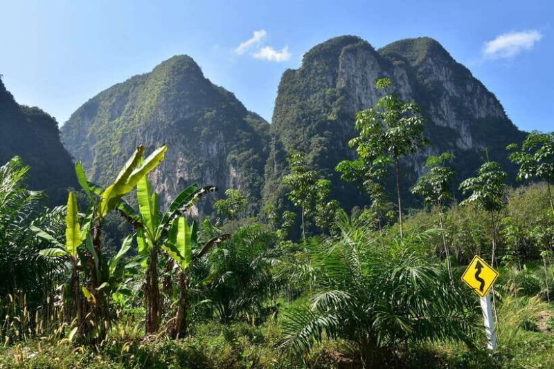 Krabi: A Kayaking Odyssey through Din Daeng Mangrove Maze - The Sum Up: Who Will Love This Tour?