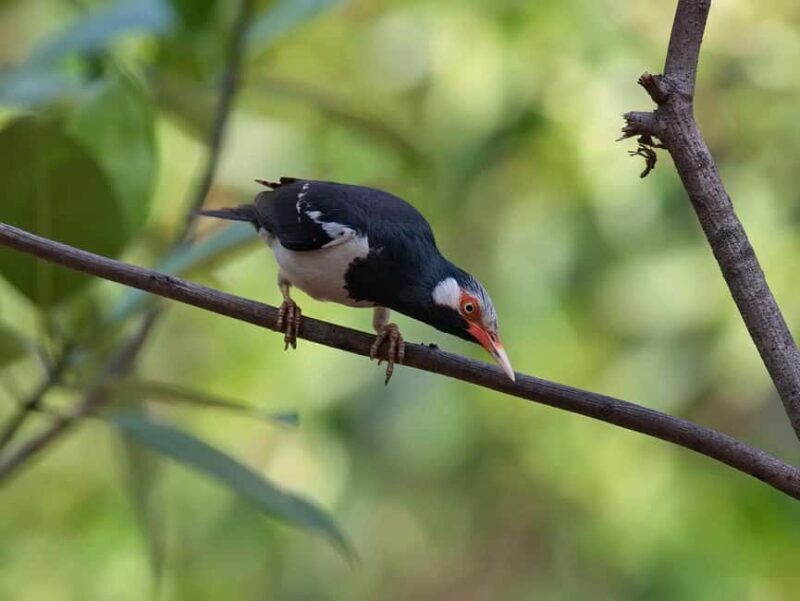 Krabi: Ao Thalane Mangrove Kayaking with Extras - Final Thoughts