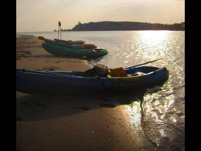 Krabi: Ao Thalane Sunset Kayak adventure (group of 10 max) - The Return and Dinner: A Perfect Finish