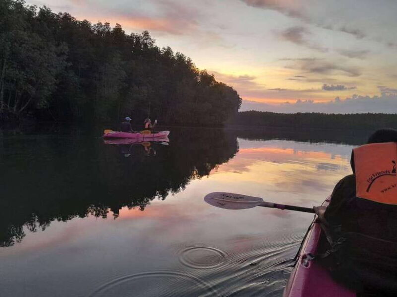 Krabi: Ao Thalane Sunset Kayak adventure (group of 10 max) - The Practicalities: What You Need to Know