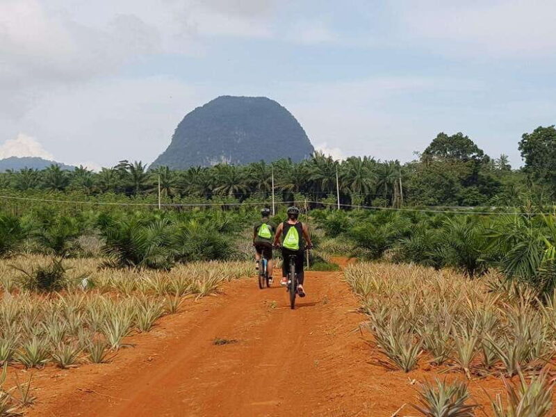 Krabi: Eco-Cycling Tour with Nature, Culture, and Fun - FAQ
