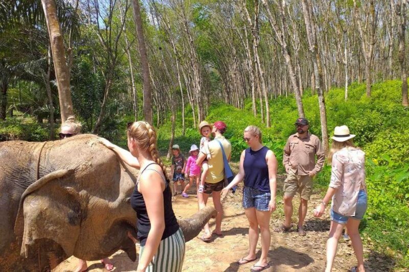 Krabi: Elephant Care House Guided Tour with Hotel Transfers - The Small Group Advantage
