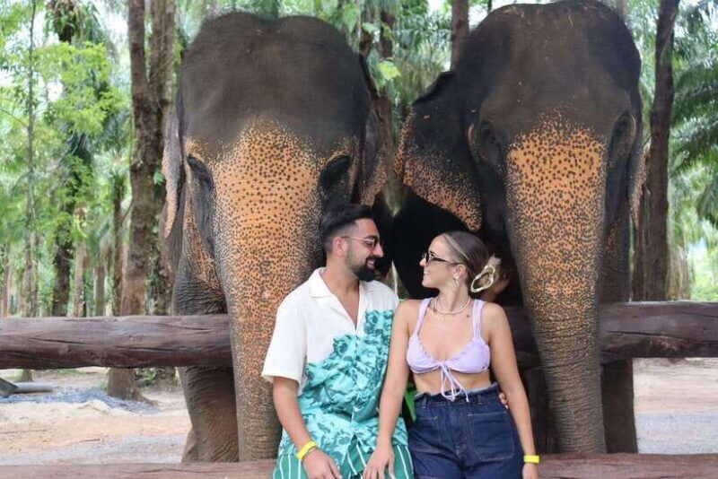 Krabi: Elephant Feeding Program - An In-Depth Look at the Krabi Elephant Feeding Program