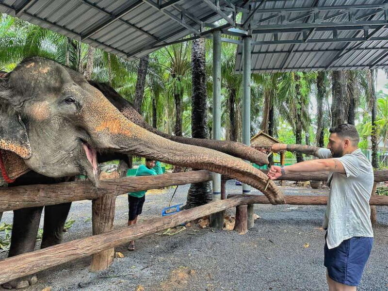 Krabi: Elephant Feeding Program - Final Thoughts