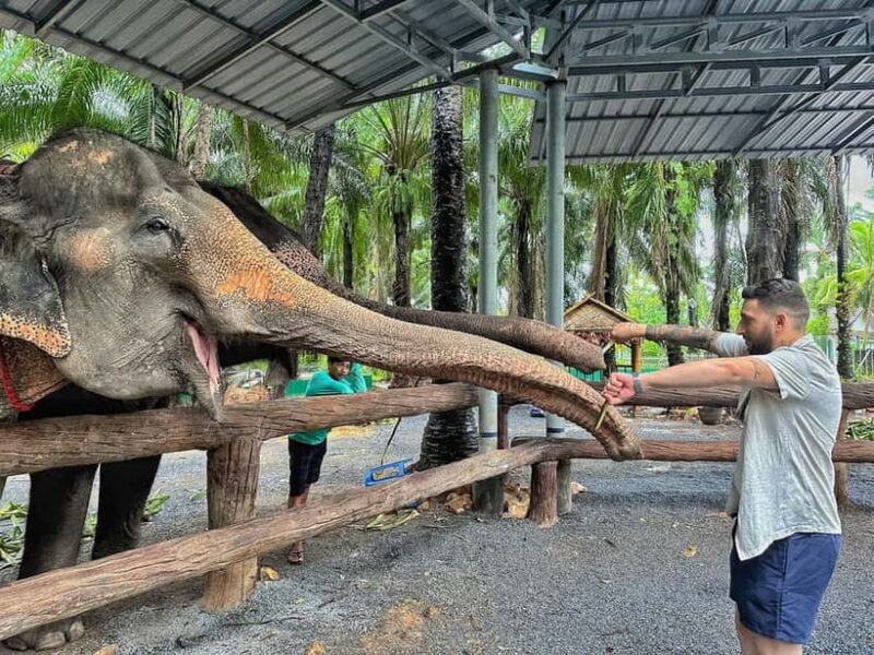 Krabi: Elephant Feeding Program with Food Preparation - Key Points