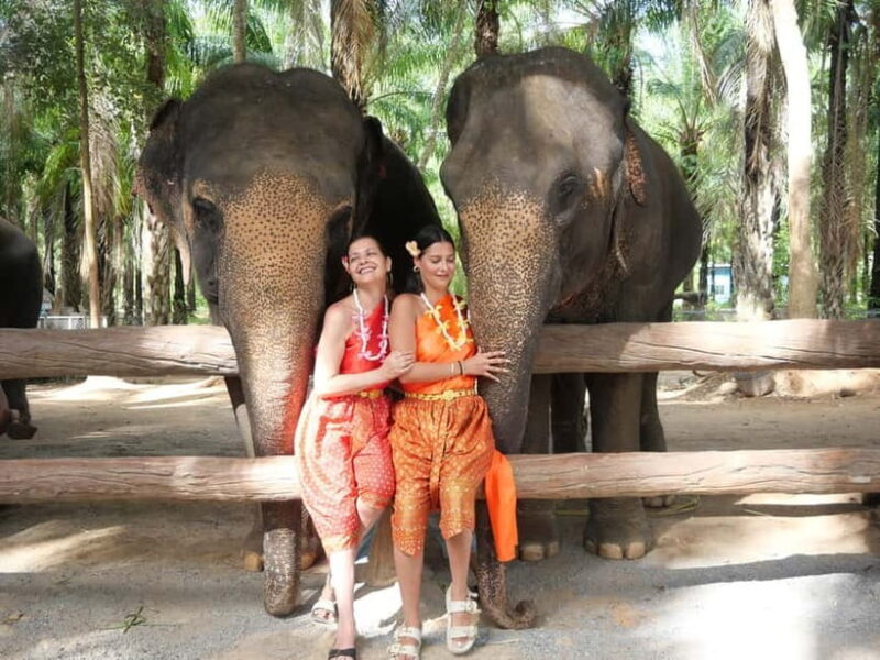 Krabi: Elephant Feeding Program with Traditional Thai Dress - A Practical Look at the Krabi Elephant Feeding Program