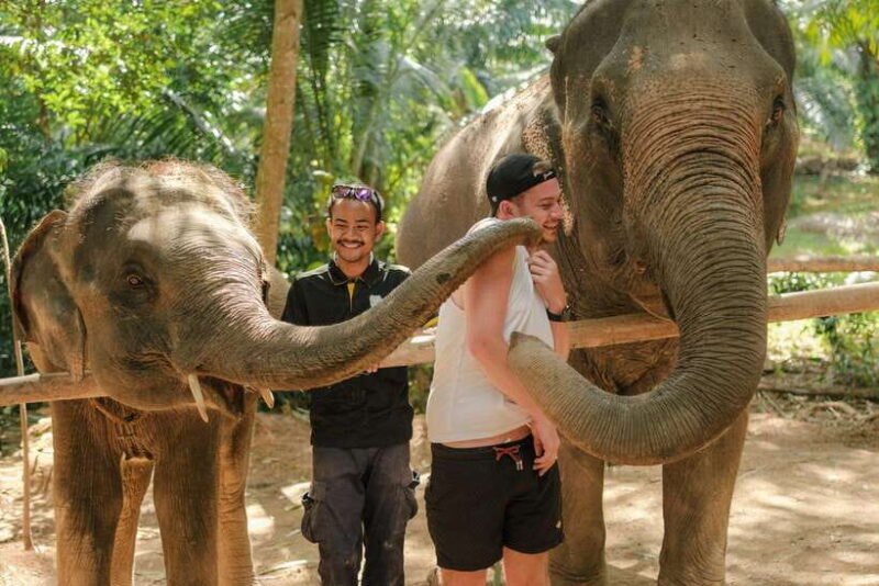 Krabi: Elephant Sanctuary (near Ao Nang) Visit - An Honest Look at the Experience