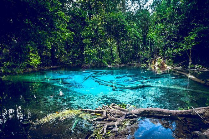 Krabi Emerald Pool, Hot Spring and Tiger Temple - Krabi Emerald Pool, Hot Spring and Tiger Temple: A Practical Guide
