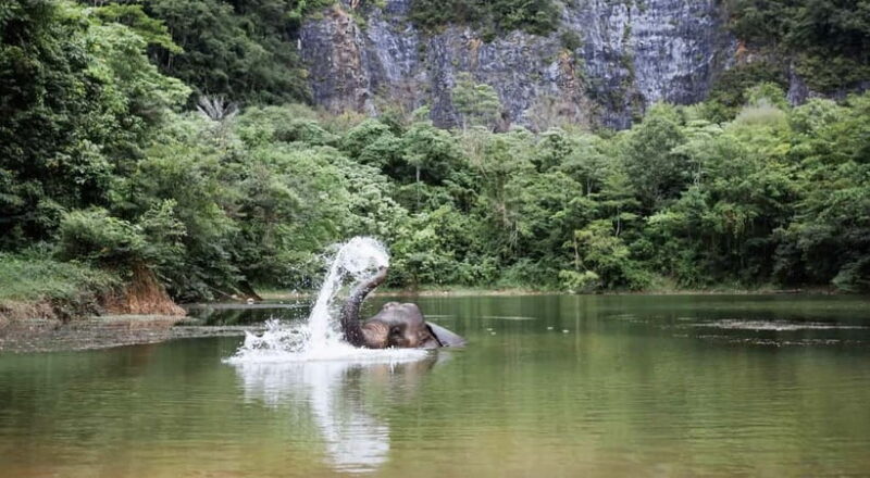 Krabi: Ethical Elephant Sanctuary & Tiger Cave Temple Tour - Practical Details and Tips