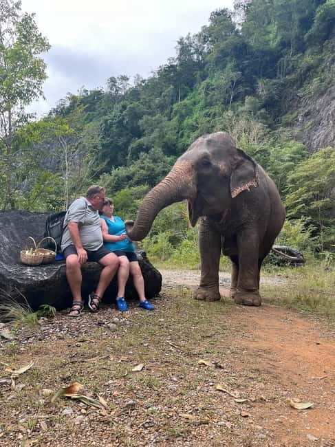 Krabi: Ethical Elephant Sanctuary & Tiger Cave Temple Tour - FAQ