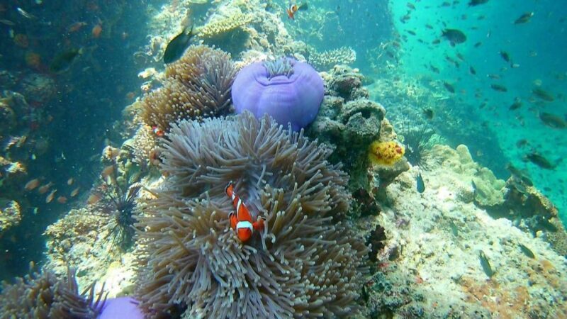 Krabi: Freediving and Snorkeling at Yawasam and Talu Island - Final Thoughts
