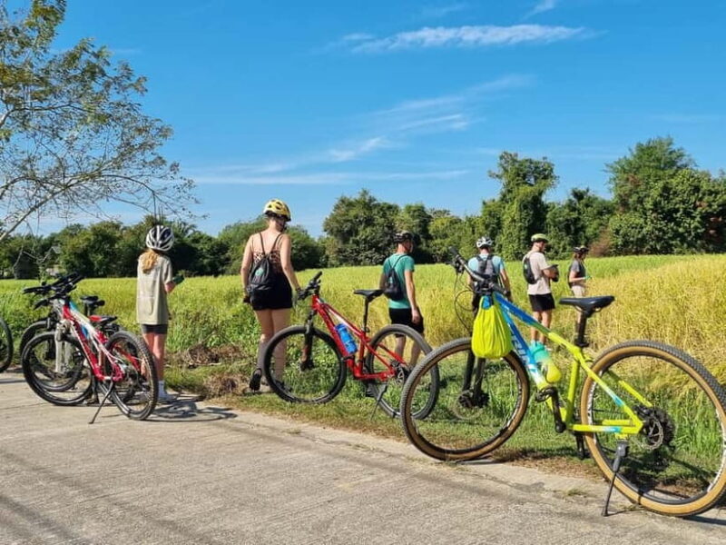Krabi: Half-Day Koh Klang Culture Cycling Tour with Transfer - Why This Tour Offers Real Value