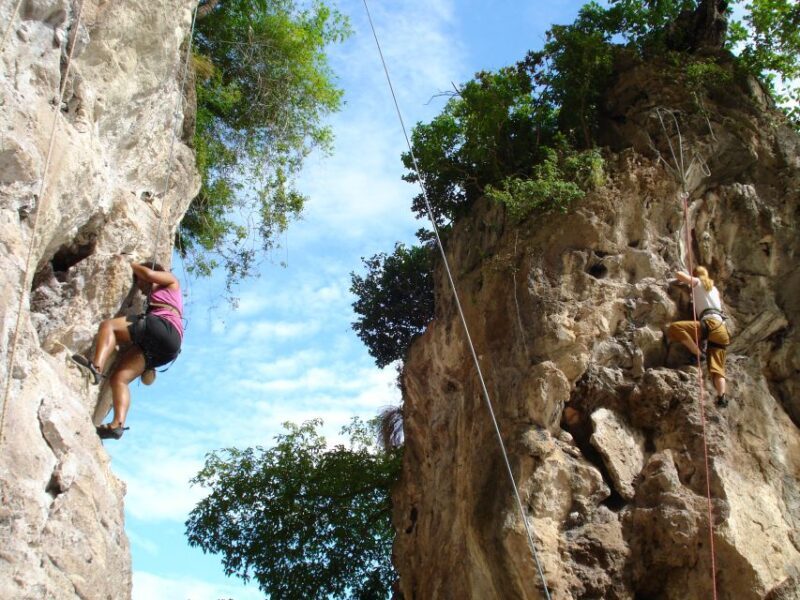 Krabi: Half-Day Rock Climbing at Railay Beach - Who Will Love This Tour?
