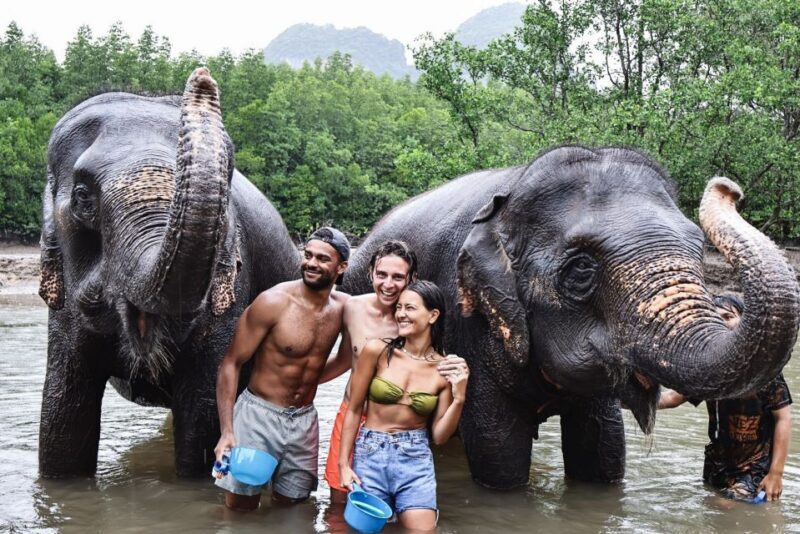 Krabi: Highlights Tour with Krabi Elephant Shelter - What to Expect on the Tour