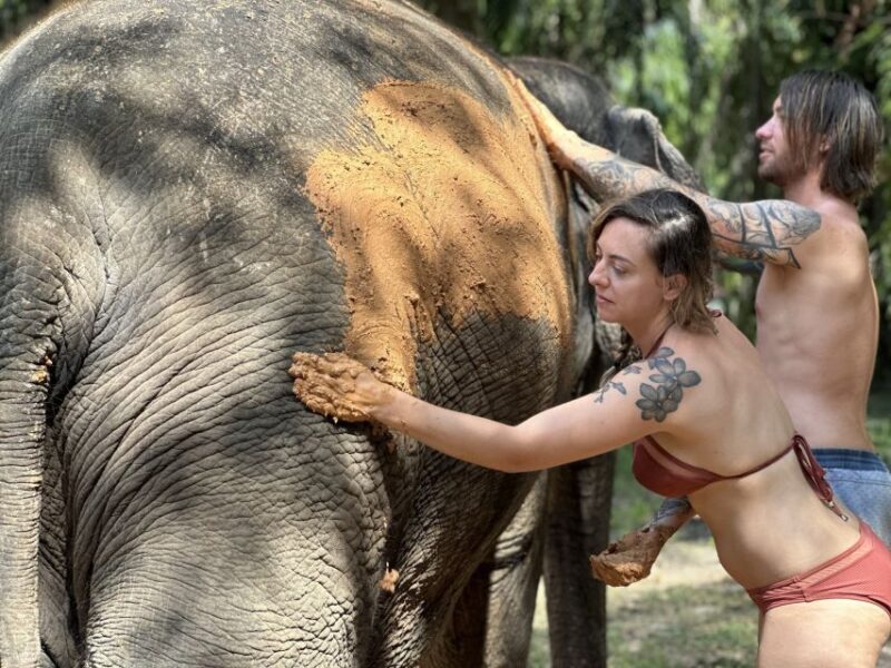 Krabi: Highlights Tour with Krabi Elephant Shelter - The Value of the Experience