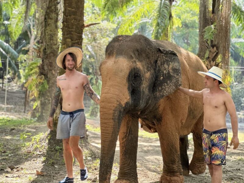 Krabi: Highlights Tour with Krabi Elephant Shelter - FAQs