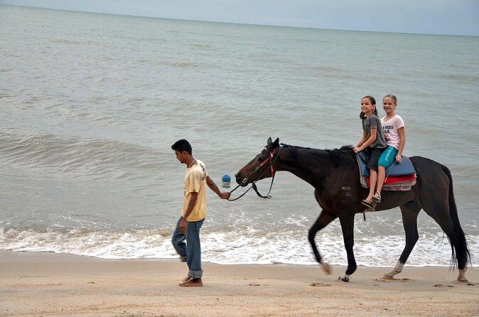 Krabi Horse Riding at Ao Nam Mao Beach - The Value Proposition: Is It Worth It?