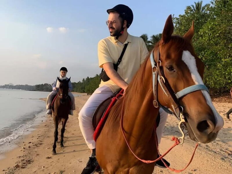 Krabi: Horse Riding On Klong Muang Beach - An Overview of the Horseback Riding Experience in Krabi