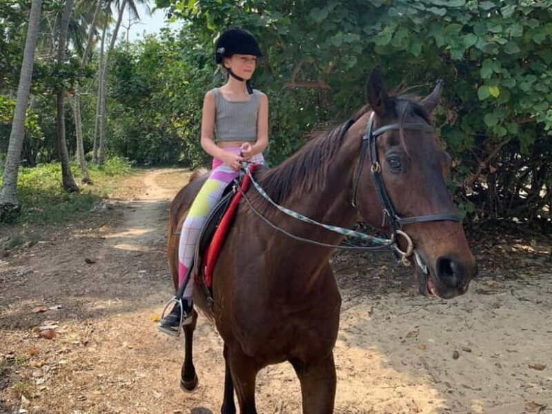Krabi: Horse Riding On Klong Muang Beach - The Horses and Safety Measures
