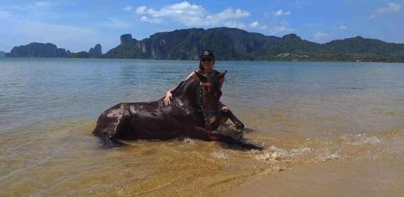 Krabi: Horseback Riding on the Beach - What to Expect from the Krabi Horseback Riding Tour
