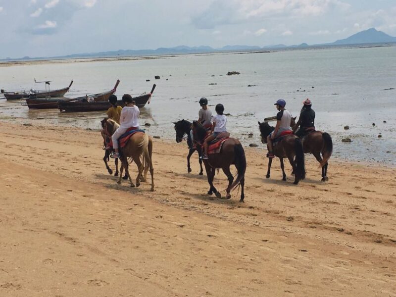 Krabi: Horseback Riding on the Beach - Why This Tour Works Well
