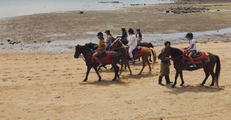 Krabi: Horseback Riding on the Beach - FAQs