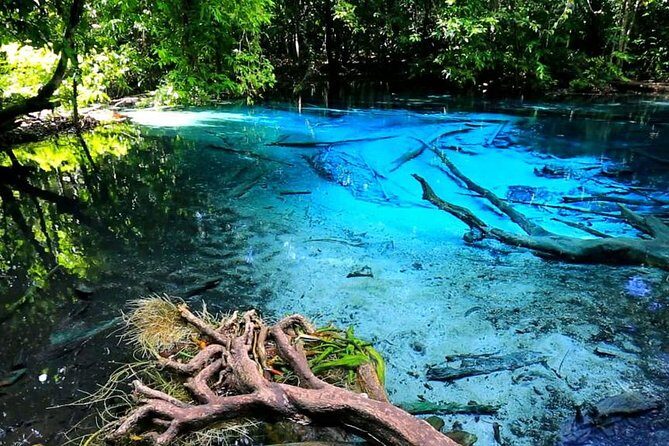 Krabi Jungle Tour with ATV Riding - Authentic Insights from Travelers