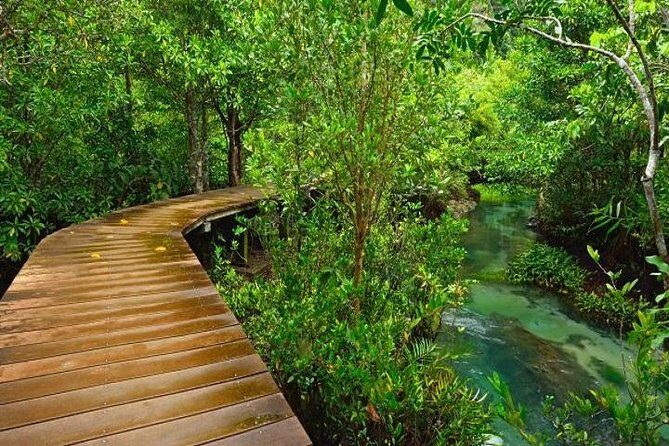 Krabi Jungle Tour:Krabi Hot Springs Waterfall,Emerald Pool and Tiger Cave Temple - The Climb to Tiger Cave Temple (Wat Tham Suea)