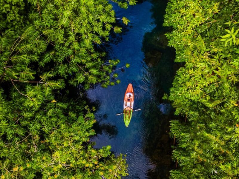 Krabi: Kayak Adventure through Ao Thalane Mangrove Forest - FAQ