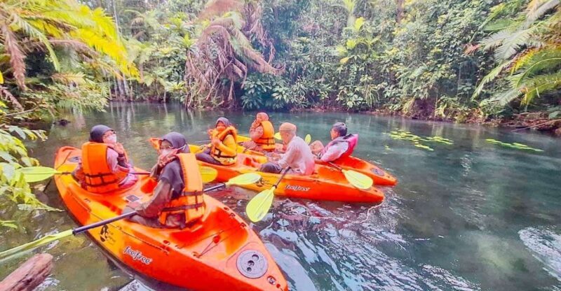 Krabi kayaking and swimming clongrood Tour - The Itinerary and What Makes It Special
