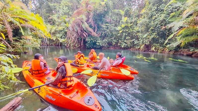 Krabi kayaking and swimming clongrood Tour - Practical Tips for Participants
