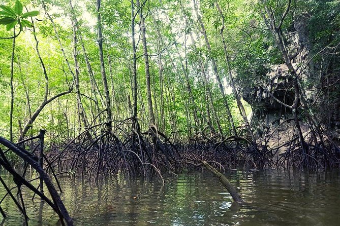 Krabi: Kayaking Tour at Ban Bor Thor Ancient Cave & Mangroves - The Guide and Group Size