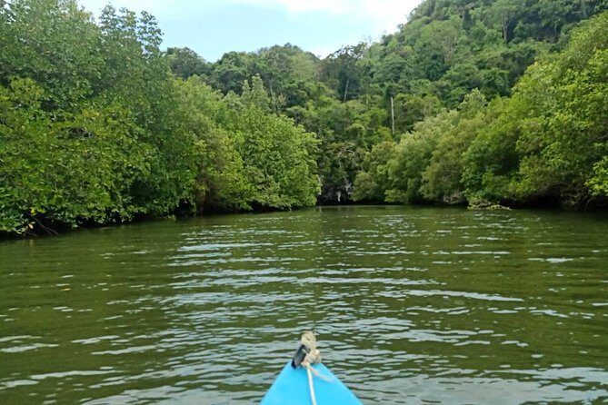 Krabi: Kayaking Tour at Ban Bor Thor Ancient Cave & Mangroves - Final Thoughts: Is This Tour Worth It?