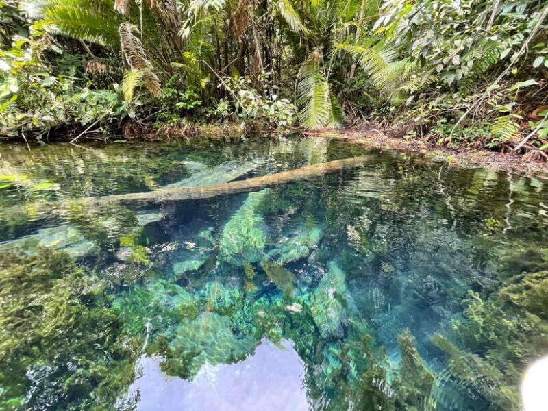 Krabi: Klong Root (Crystal lake) Kayaking tour - An In-Depth Look at the Krabi Klong Root Kayaking Tour